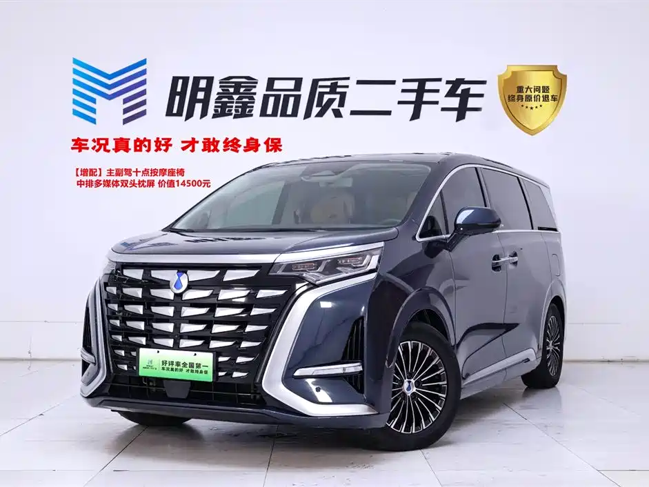 Denza D9 2024 DM-i 980 AWD Prestige фото 2