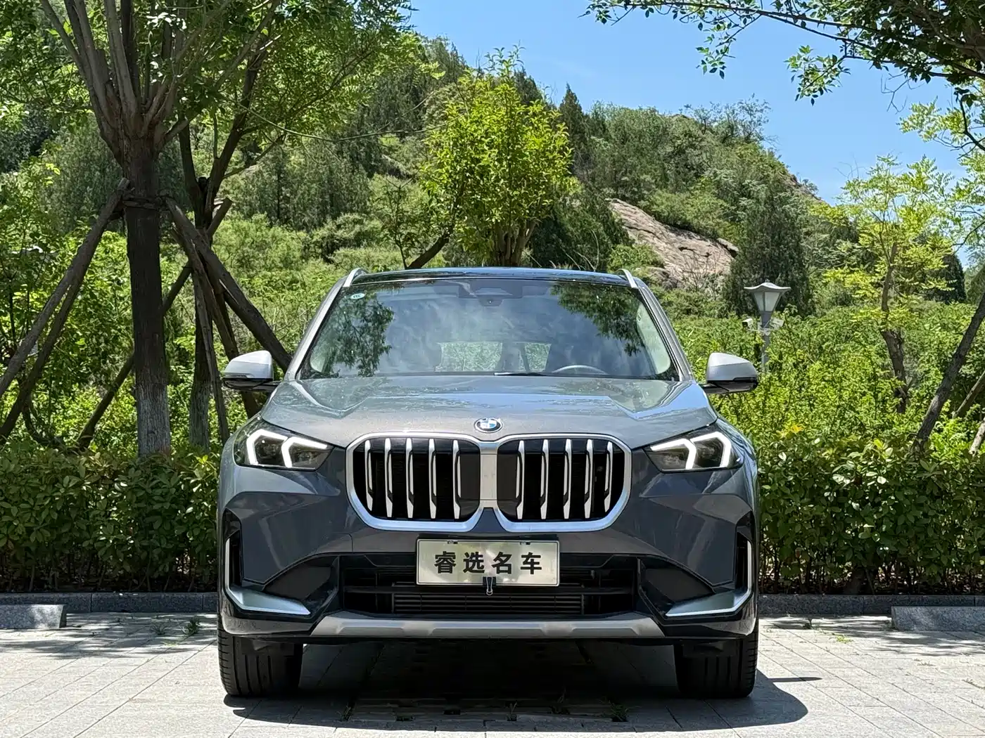 BMW X1 2024 xDrive25Li X Design Package фото 3