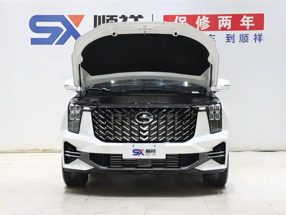 GAC Trumpchi Trumpchi GS8 2025 Pilot Series 2.0TGDI 2WD Luxury Edition 5-seater фото 18