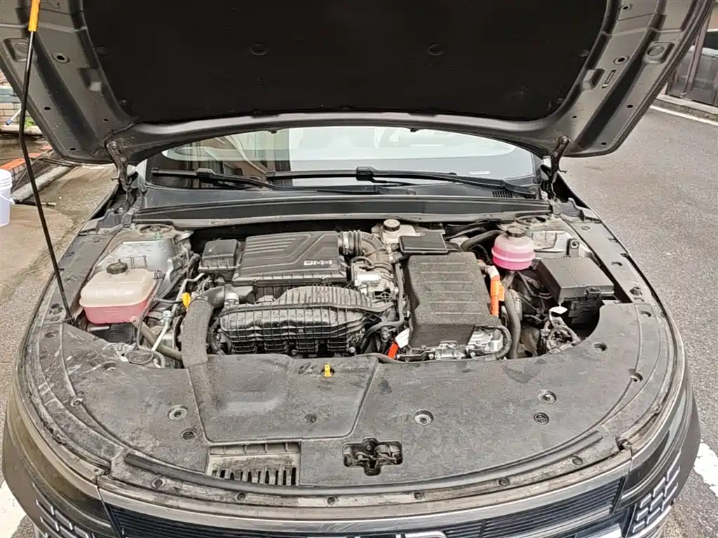 BYD Destroyer 05 2024 Glory Edition DM-i 55KM Luxury фото 20