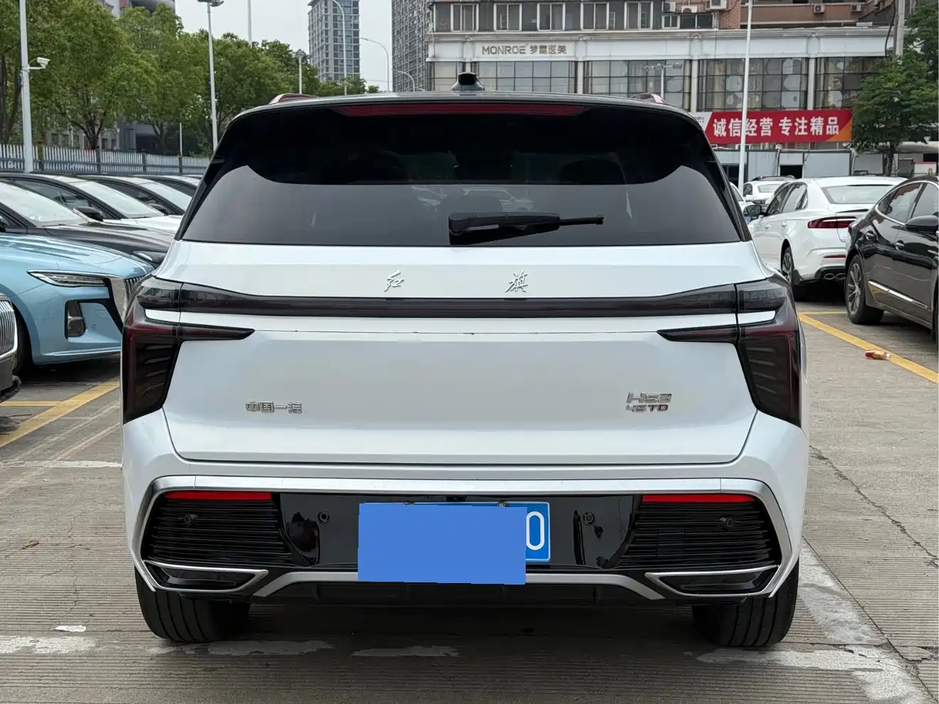 Hongqi HS3 2023 2.0T 4WD Achievement Edition фото 6
