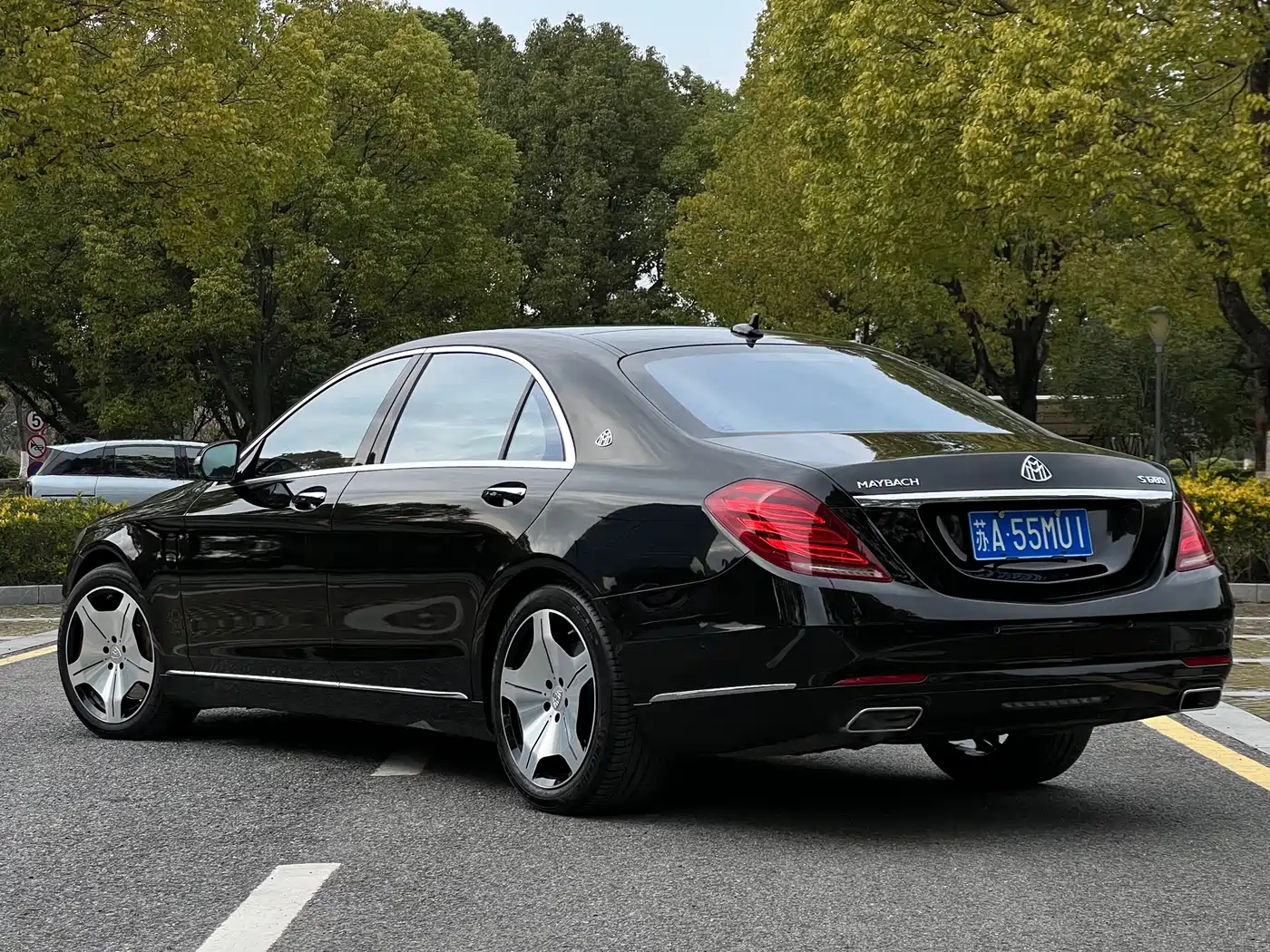 Mercedes-Benz S-Class 2014 S 500 L фото 6