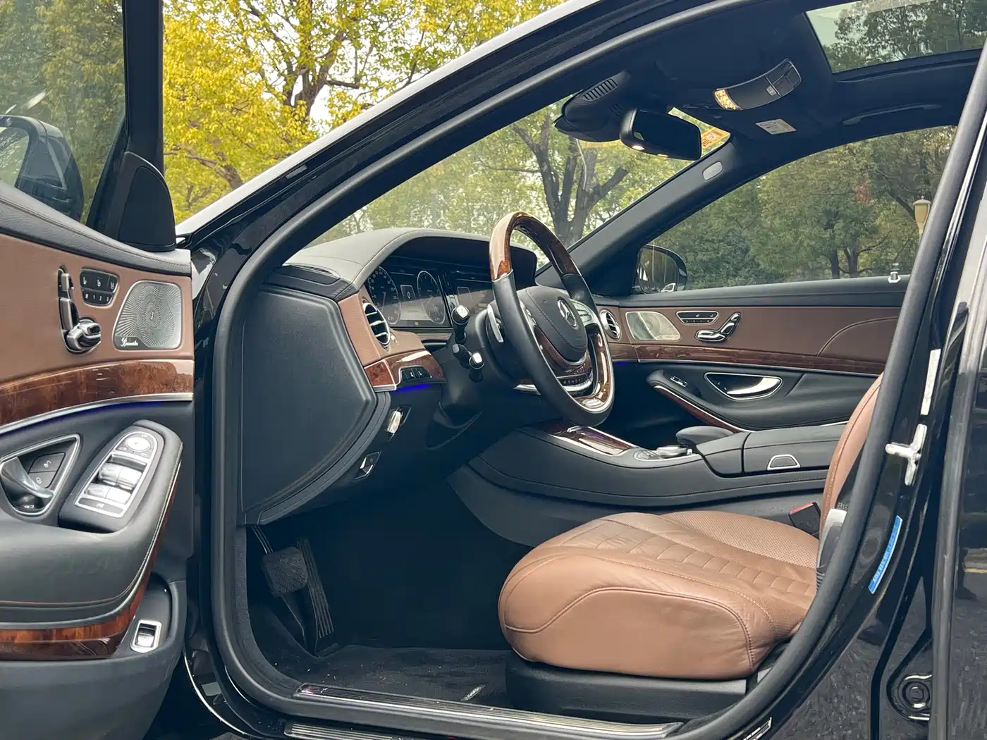 Mercedes-Benz S-Class 2014 S 500 L фото 8
