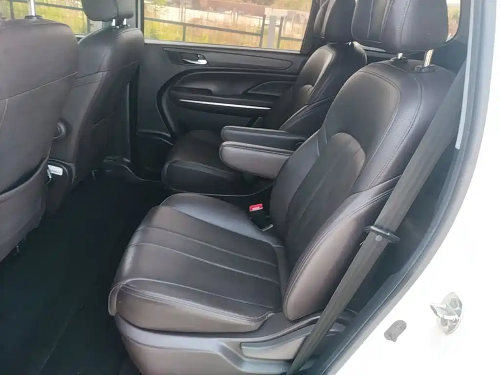 GAC Trumpchi Trumpchi M6 2019 270T DCT Luxury Edition (6-seater) (China VI) фото 17