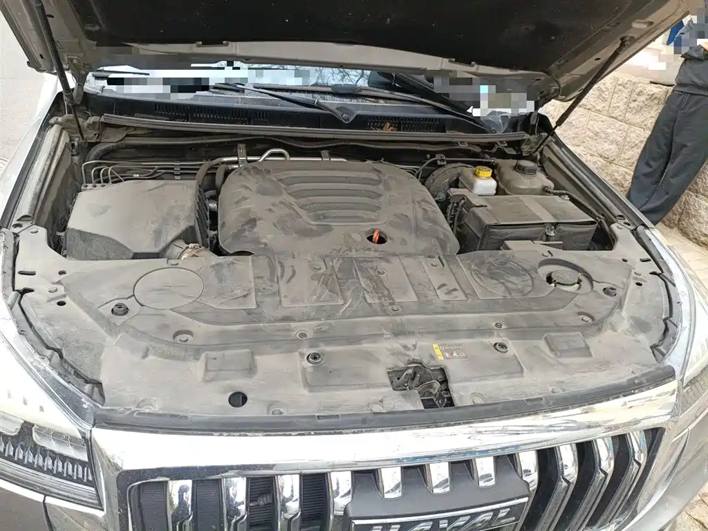 Haval H9 2022 2.0T Gasoline 4WD Elite 5-Seater фото 16