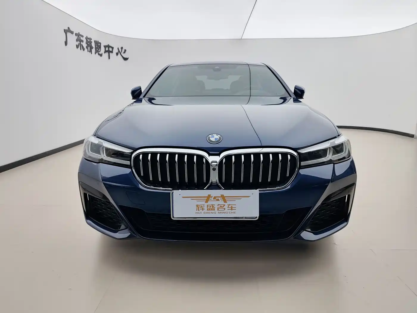 BMW 5 Series 2021 530Li Premium M Sport Package фото 2