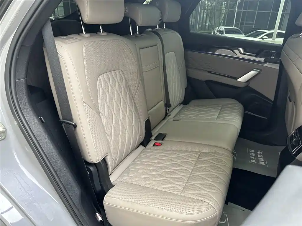 BYD Tang New Energy 2025 DM-i 115KM Prestige Type фото 8