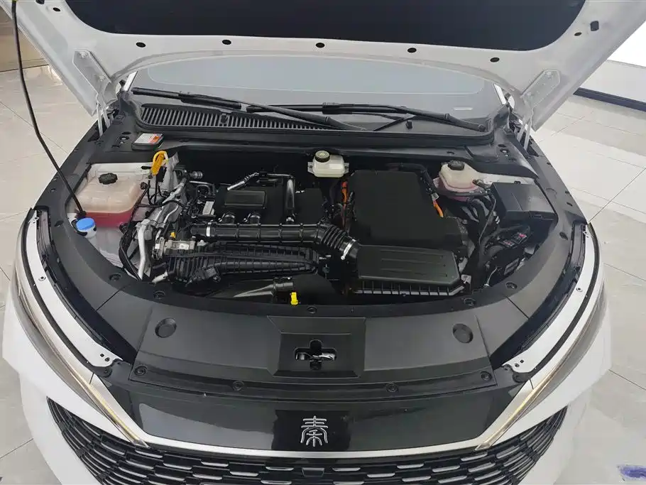 BYD Qin L 2024 DM-i 80KM Leading Edition фото 10
