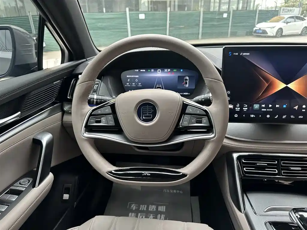 BYD Tang New Energy 2025 DM-i 115KM Prestige Type фото 9