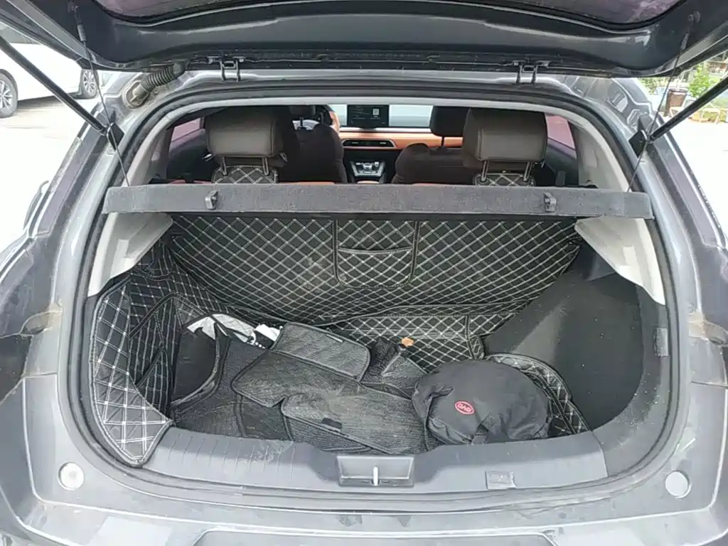 BYD e2 2021 2021 Luxury Edition