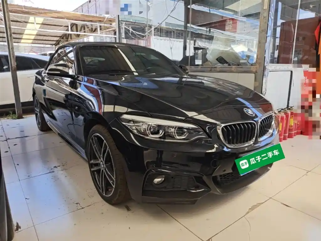 BMW 2 Series (Import) 2018 225i Convertible Coupe Premium M Sport Package фото 4