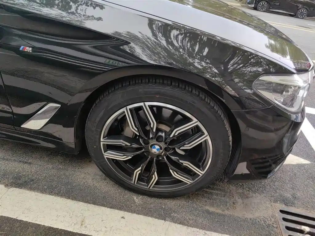 BMW 5 Series 2020 530Li Leading M Sport Package фото 26