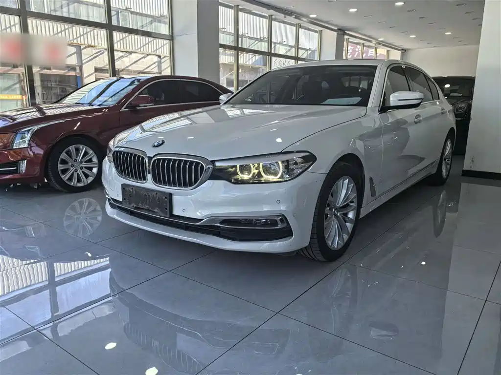BMW 5 Series 2019 525Li Luxury Package фото 3
