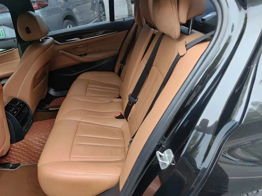 BMW 5 Series 2020 530Li Leading M Sport Package фото 13
