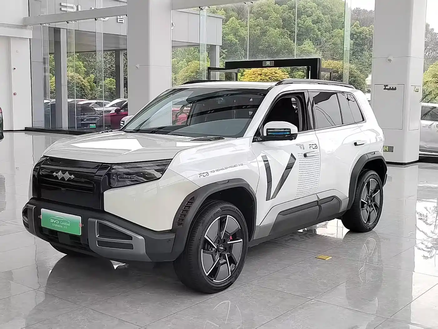 FANG CHENG BAO TITANIUM 3