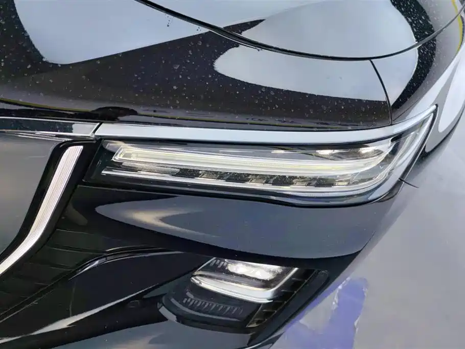 Hongqi H5 2023 2.0T Auto Smart Connect Flag Comfort фото 5