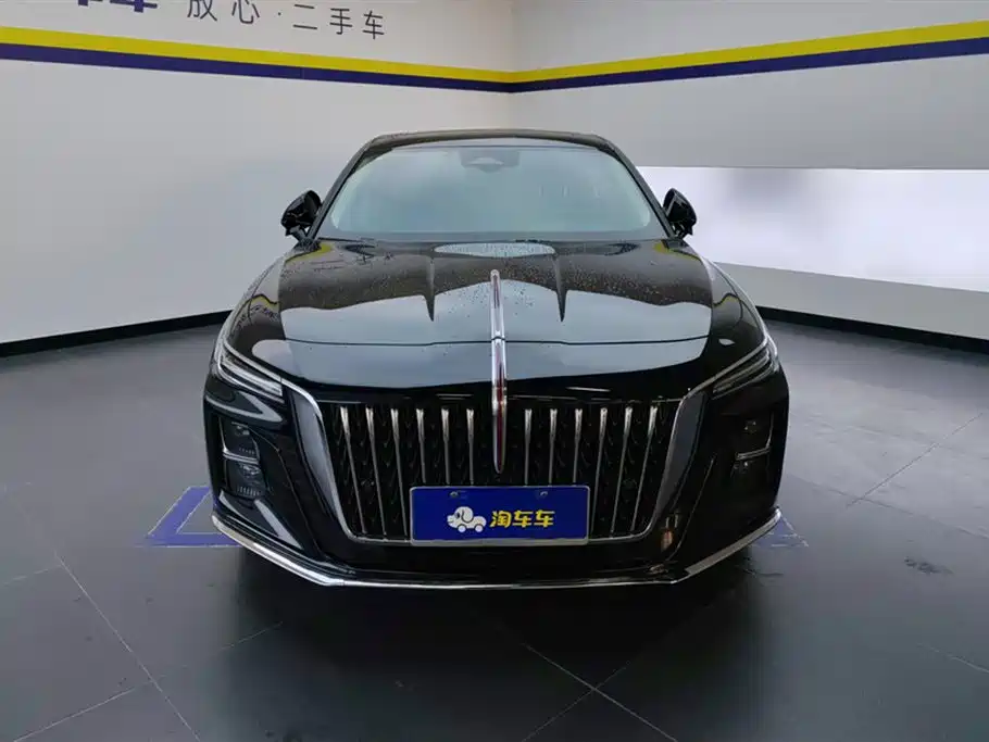 Hongqi H5 2023 2.0T Auto Smart Connect Flag Comfort фото 2