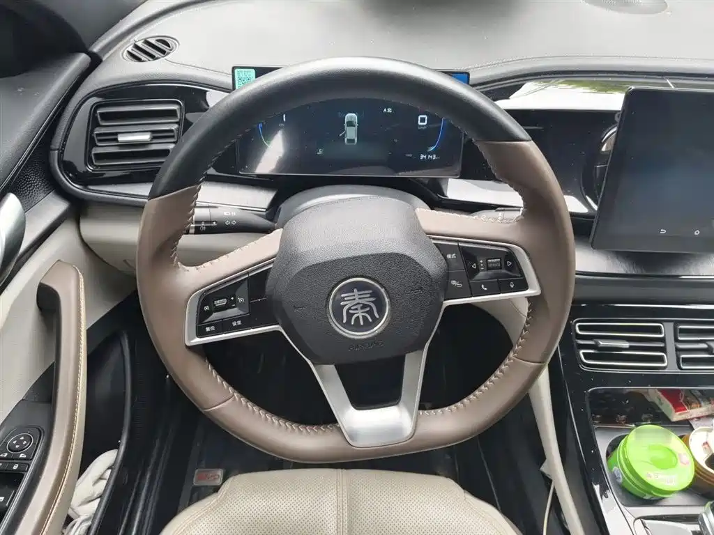 BYD Qin PLUS 2023 Champion Edition DM-i 55KM Leading фото 6