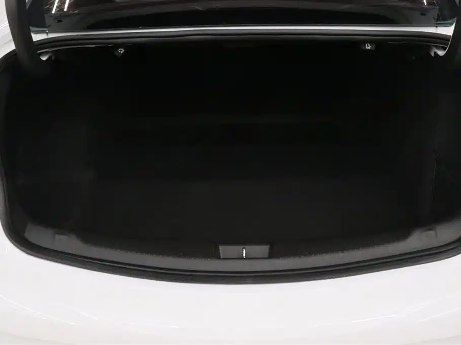 Buick Regal 2017 20T Elite Type фото 16