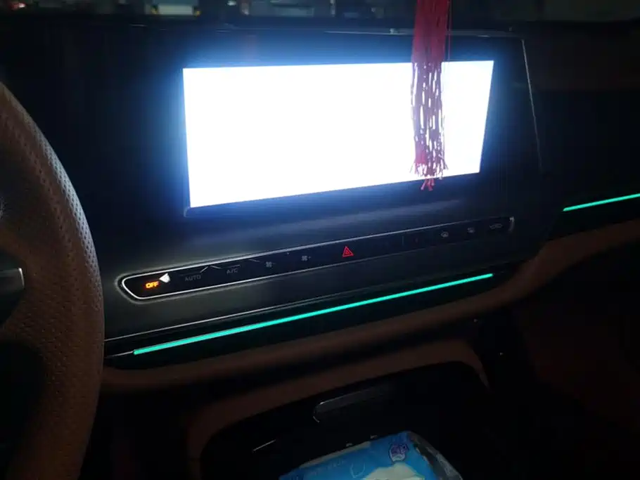 Hongqi H9 2024 2.0T Qi Enjoy Private Fashion Edition фото 13