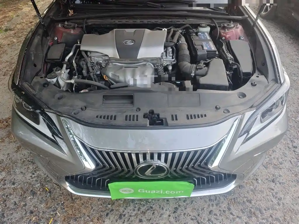 Lexus ES 2018 200 Luxury Edition China V фото 16