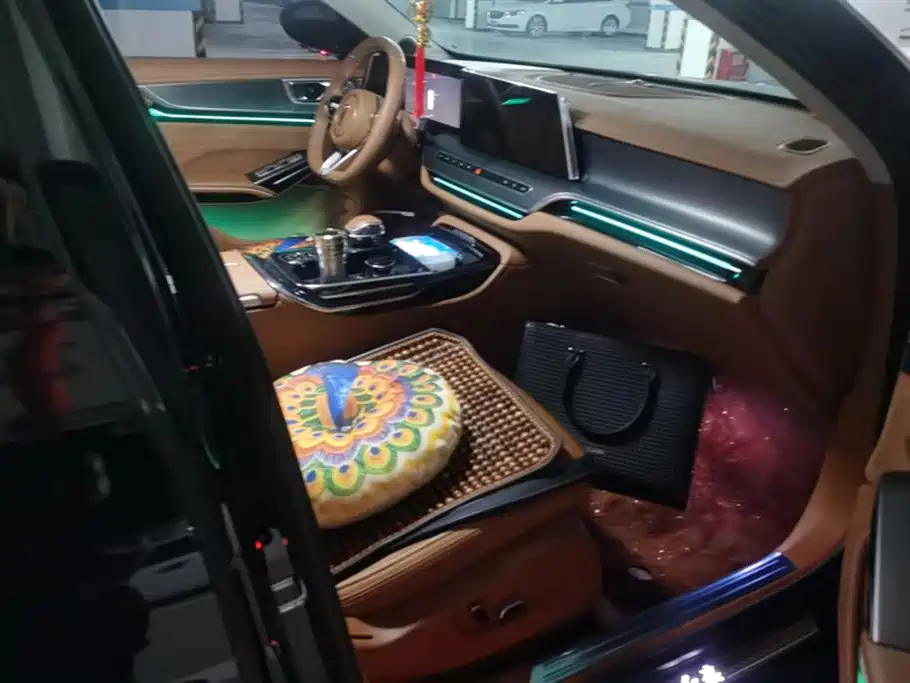 Hongqi H9 2024 2.0T Qi Enjoy Private Fashion Edition фото 8