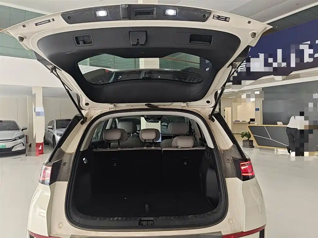 BYD Hai Shi 05 EV 2025 520KM Smart Navigation Edition фото 19