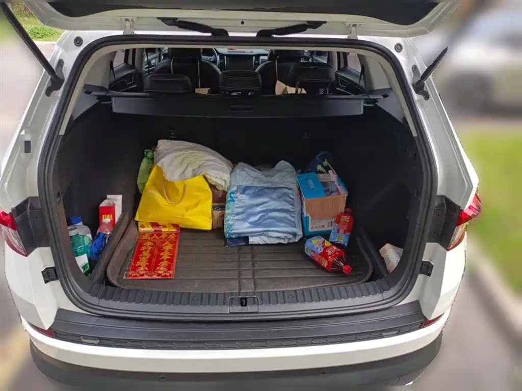 Škoda Kodiaq 2021 TSI330 5-seat 2WD Luxury Premium фото 15