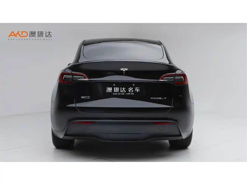 Фото 4 - Tesla Model Y