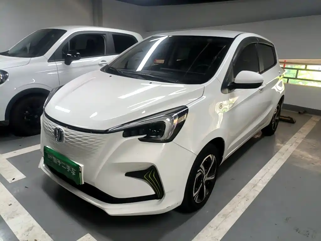 Changan Benben E-Star 2021 2020 Heartbeat Edition (NMC Battery)