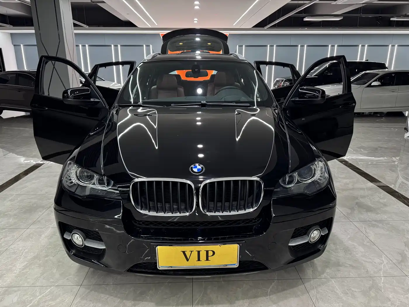 BMW X6 2009 xDrive35i фото 18