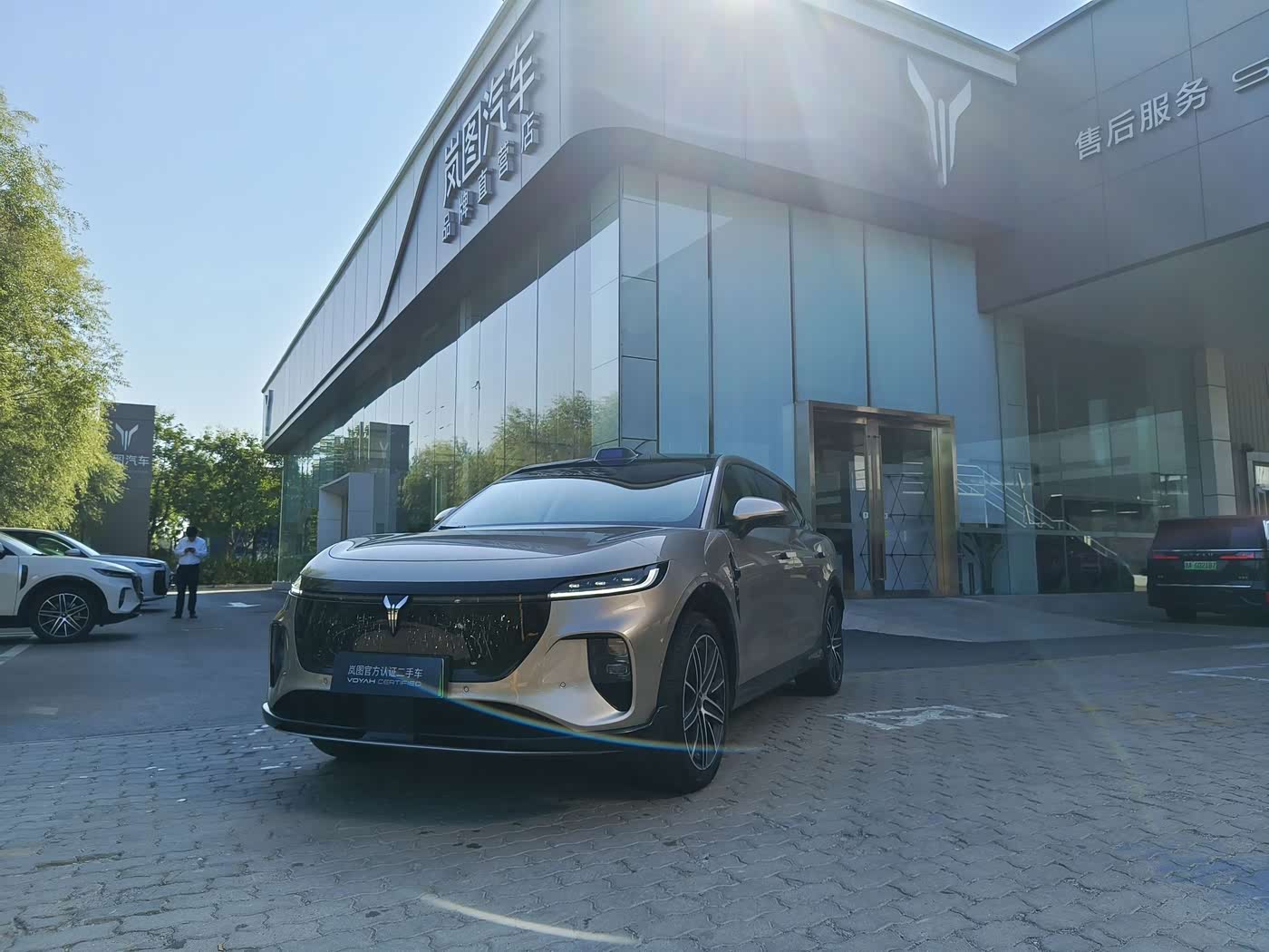 Voyah Auto Voyah Zhiyin