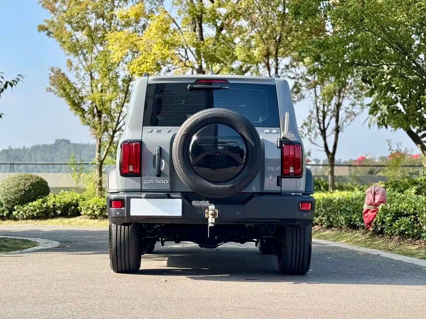 Tank 300 2021 2021 Off-road Version 2.0T Conqueror
