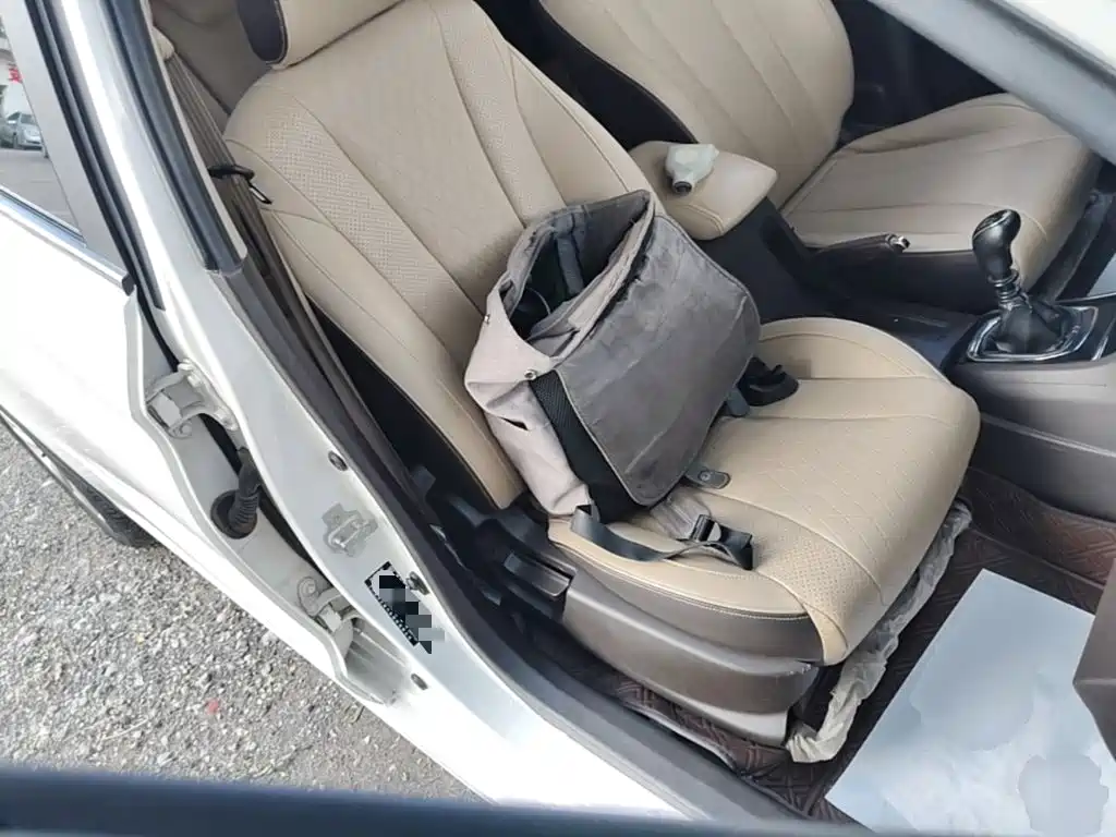 Baojun 310W 2017 2017 1.5L Manual Fashion Edition (China V)