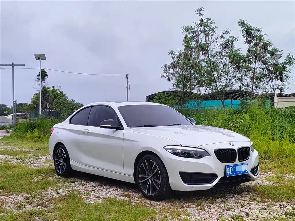 BMW 2 Series (Import) 2018 220i Sport Design Package фото 2