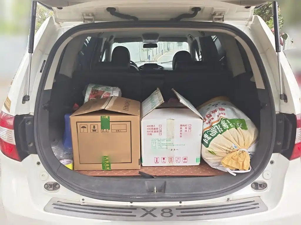 Photo 20 - Landwind X8