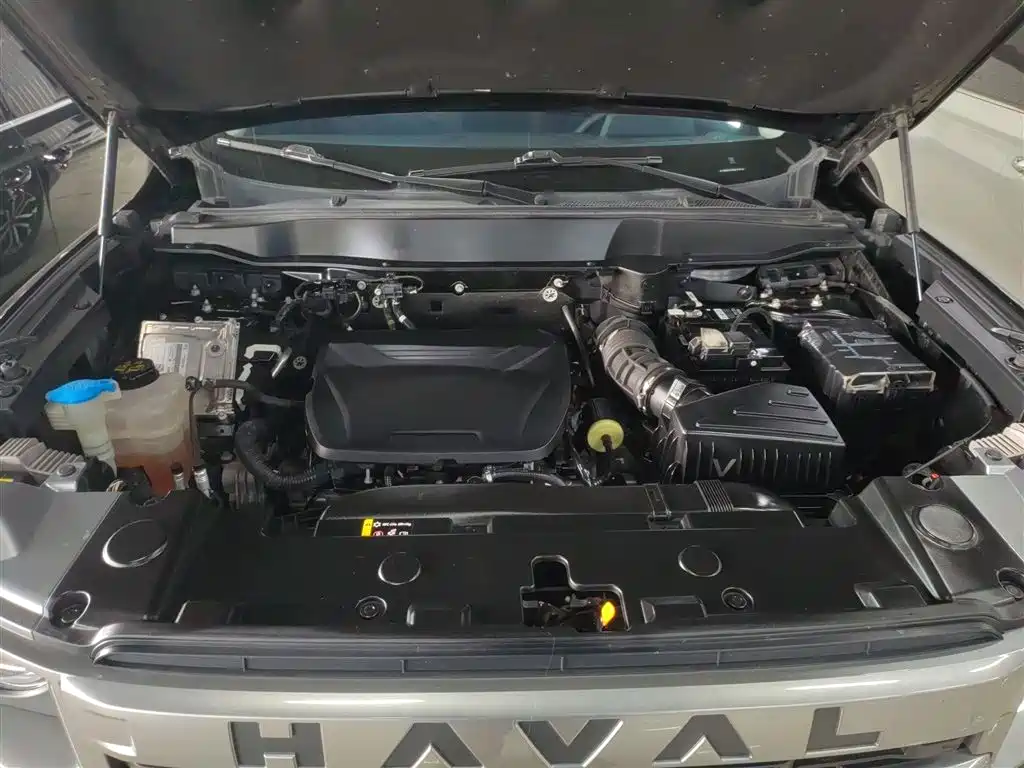 Haval Big Dog 2024 1.5T DCT Border Collie Edition фото 20