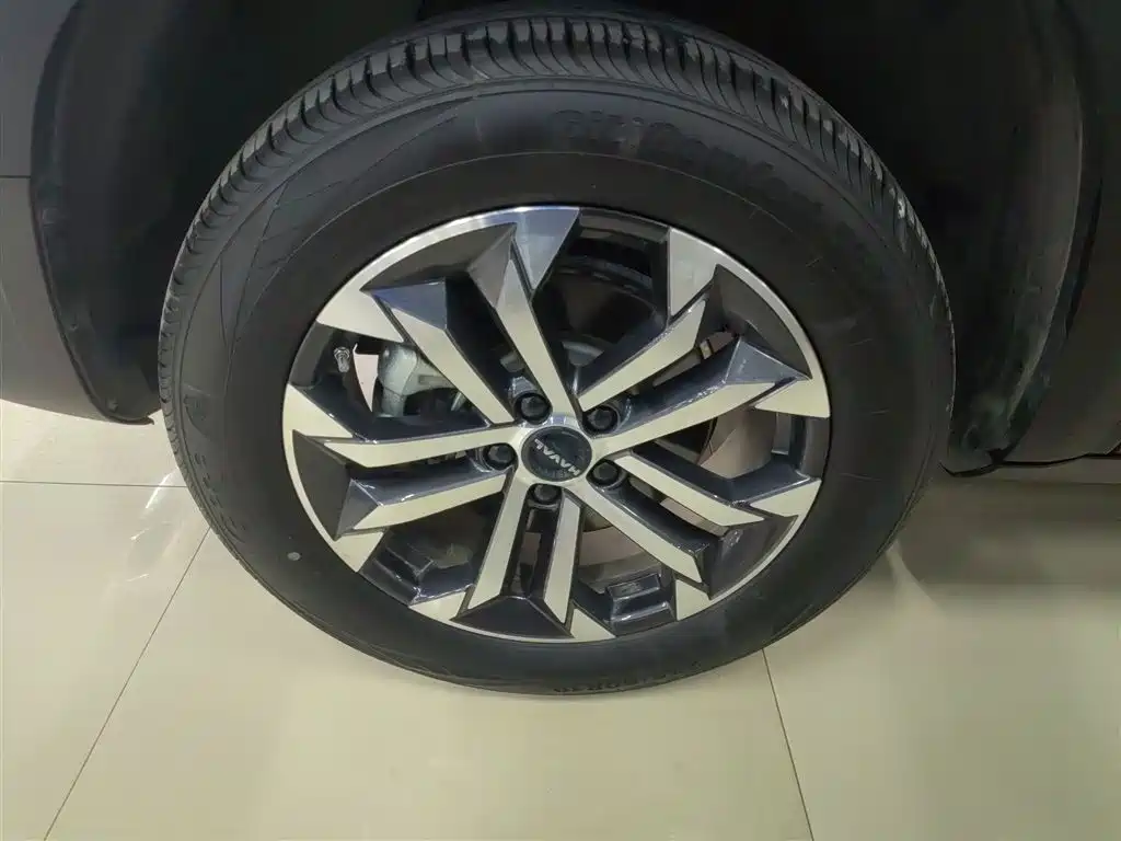 Haval Big Dog 2024 1.5T DCT Border Collie Edition фото 23