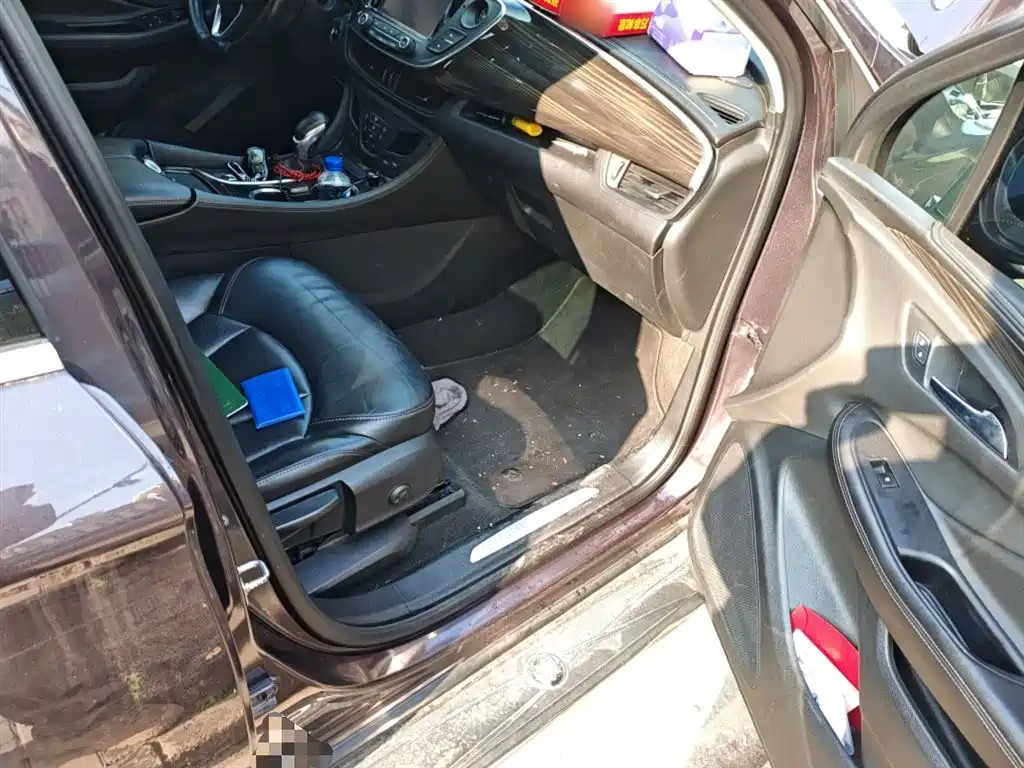 Buick Envision Plus 2018 20T 2WD Elite фото 20