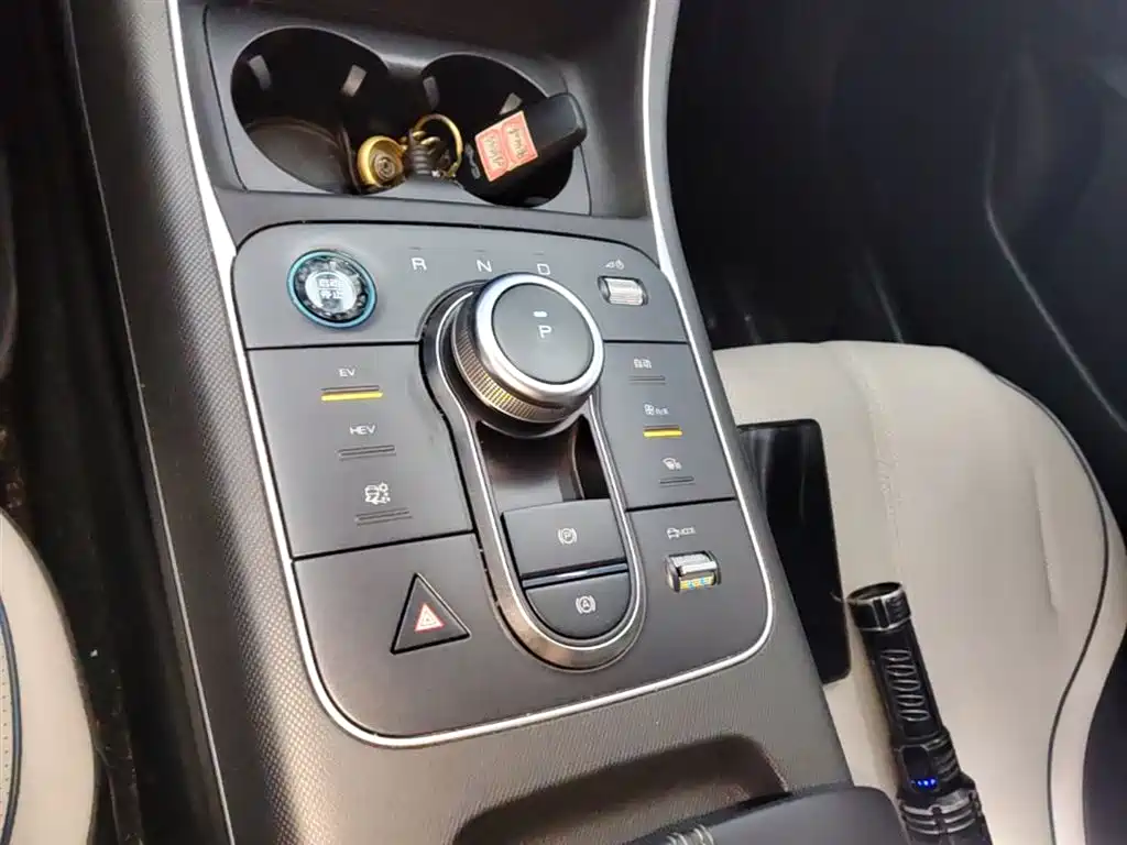 BYD Destroyer 05 2024 DM-i 55KM Pilot Glory Edition фото 14