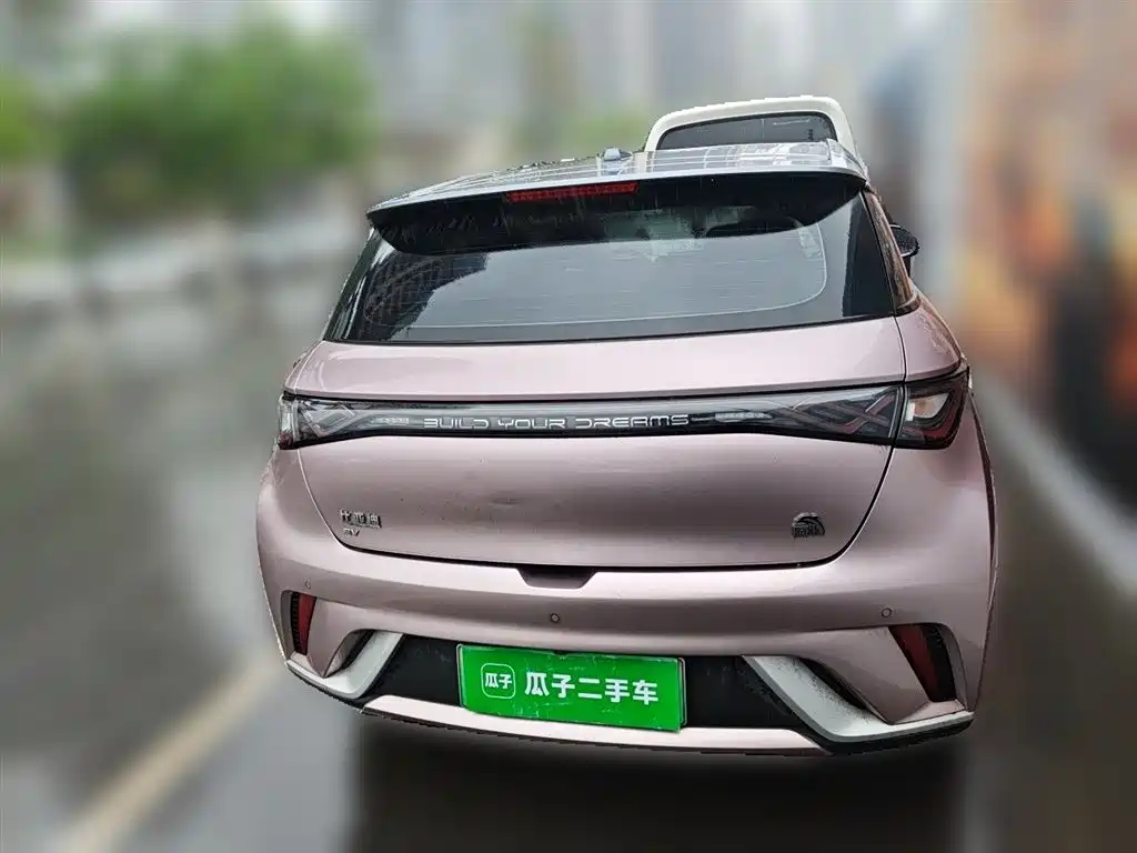 BYD Dolphin 2021 Model 405km Fashion Edition фото 3