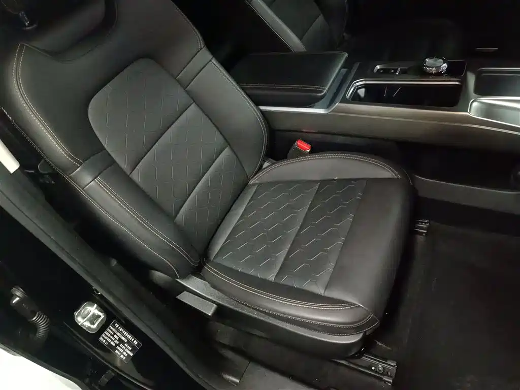 Haval Big Dog 2024 1.5T DCT Border Collie Edition фото 20