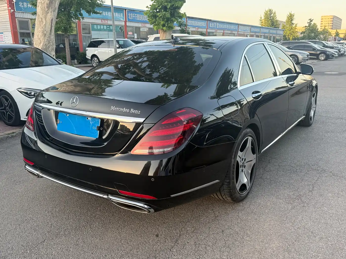 Mercedes-Benz S-Class 2020 S 350 L Business Edition Collector's Version фото 13