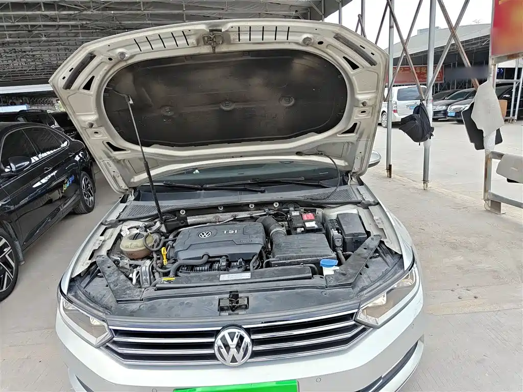 Volkswagen Magotan 2017 330TSI DSG Leading фото 20