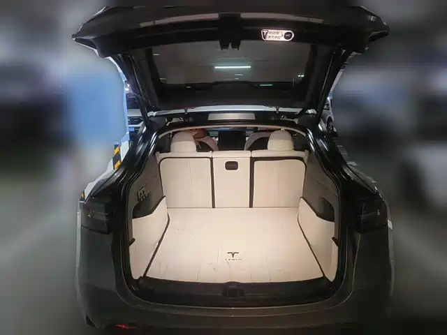 Tesla Model Y 2024 Long Range AWD — фото 5