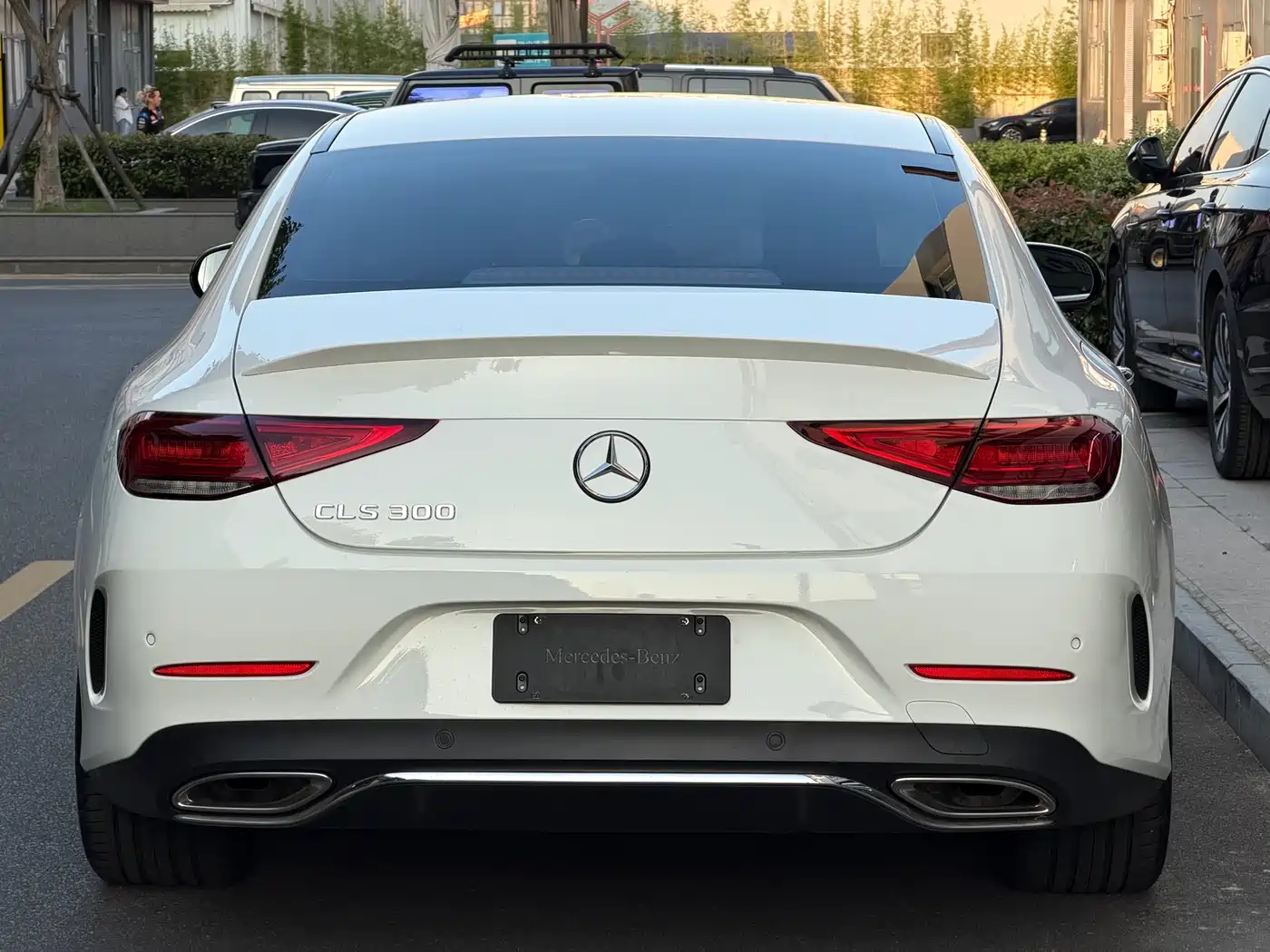 Mercedes-Benz CLS 2023 Facelift CLS 300 Luxury фото 5