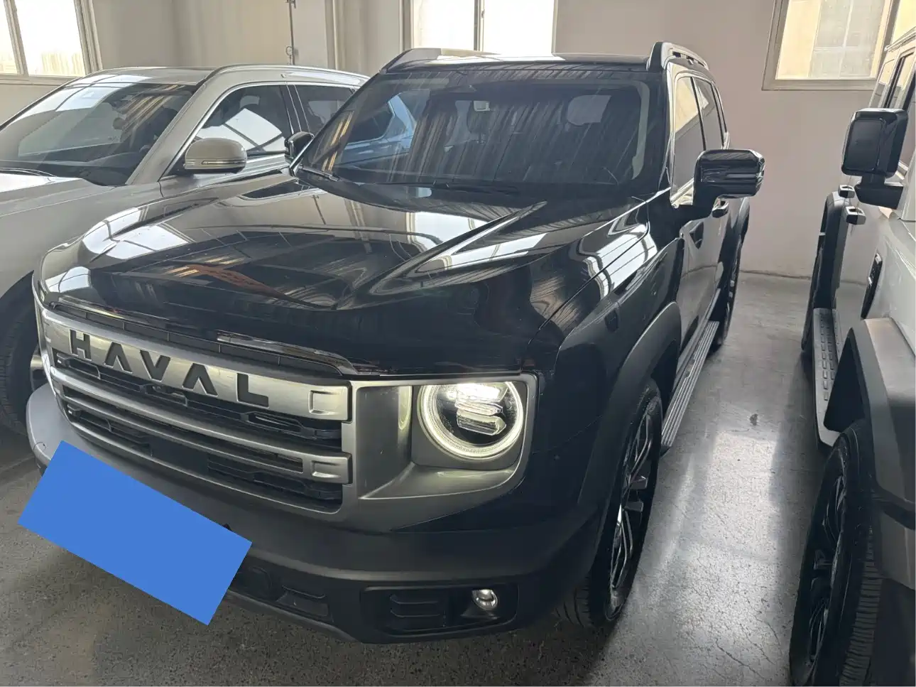 Haval Big Dog 2024 1.5T DCT Border Collie Edition