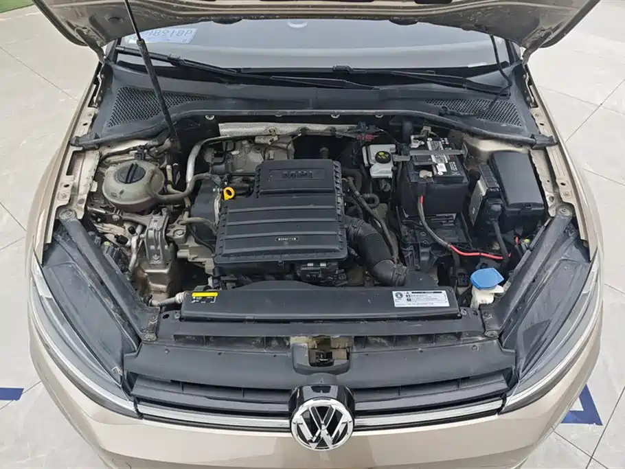 Volkswagen Golf 2019 1.6L Auto Comfort (China V) фото 10