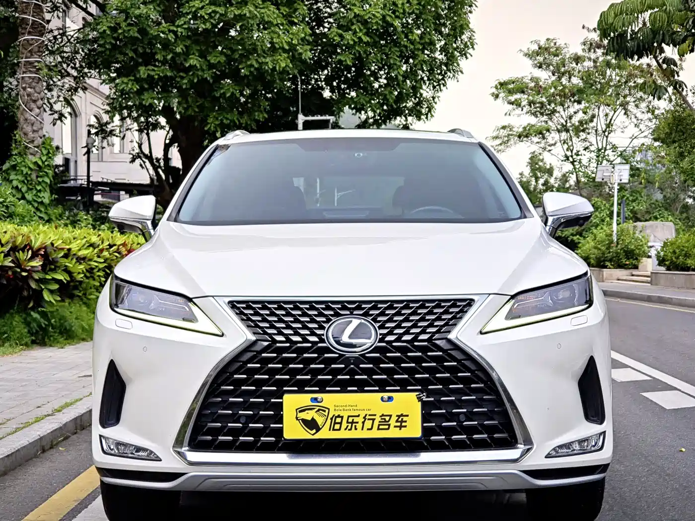 Lexus RX 2020 Facelift 300 2WD Elite Edition фото 2
