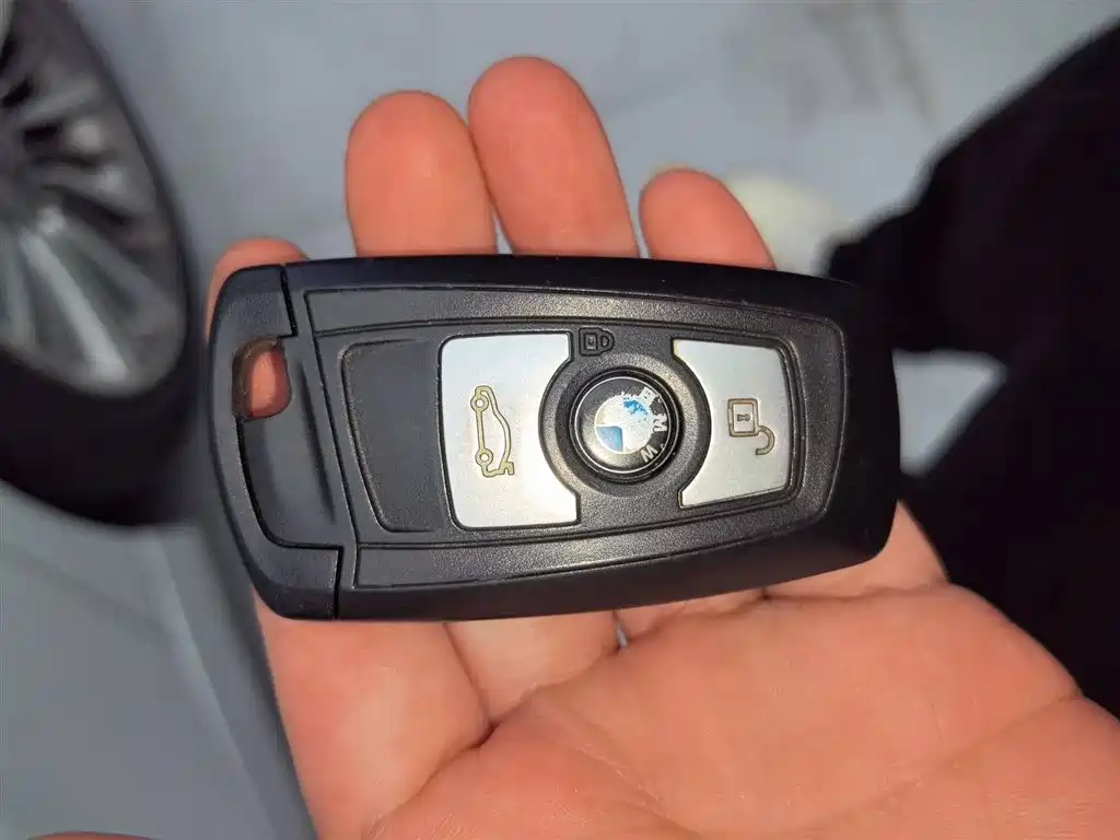 BMW 3 Series 2019 320Li Fashion Type фото 17